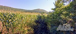 image_12
