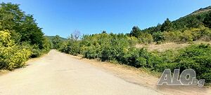 image_14