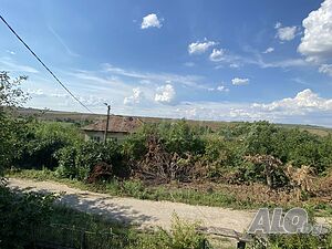 image_15