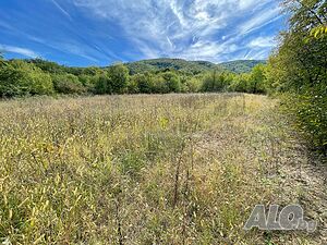 image_4
