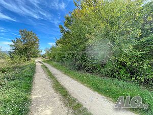image_8