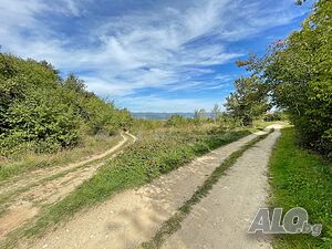 image_14