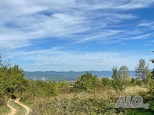 image_15