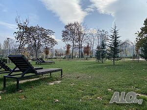 image_14