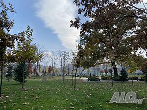 image_15
