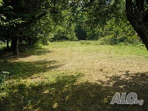 image_2