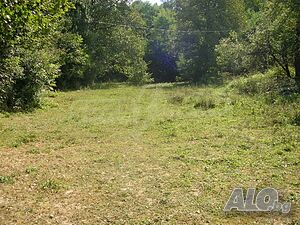 image_6