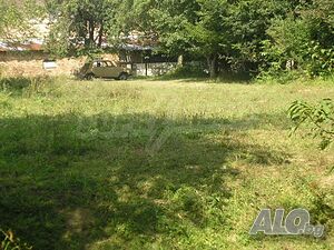 image_7