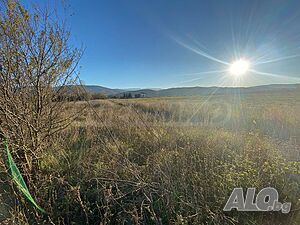 image_10
