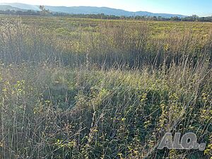 image_14