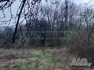 image_7