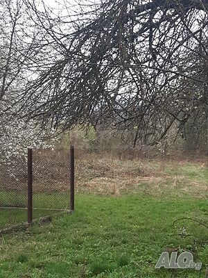 image_9