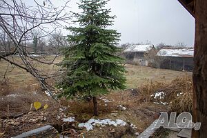 image_2