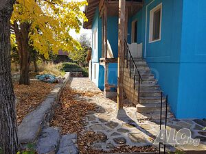 image_3