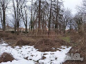 image_8