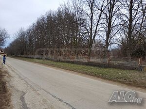 image_9