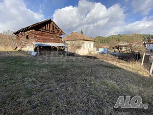 image_7