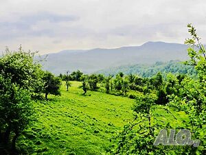 image_13