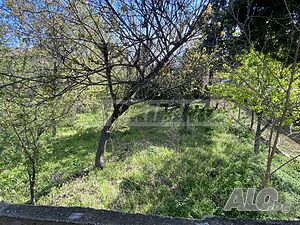 image_12