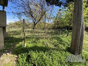 image_13