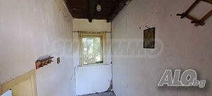 image_11