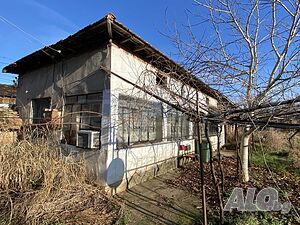 image_7