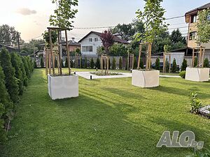 image_4