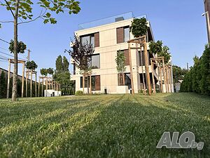 image_8