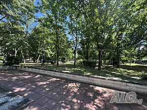 image_8