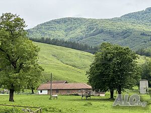 image_2