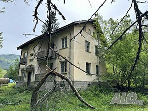 image_9