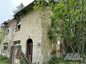 image_11