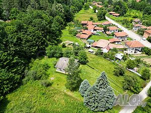 image_3