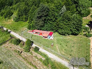 image_5