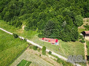 image_6