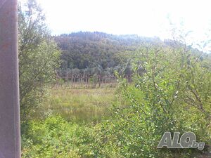 image_2