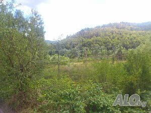 image_5