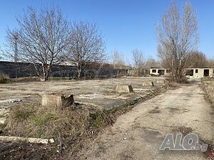 image_9
