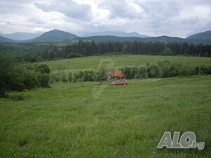 image_7