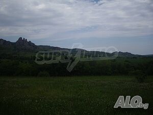 image_9