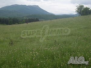 image_12
