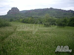 image_14