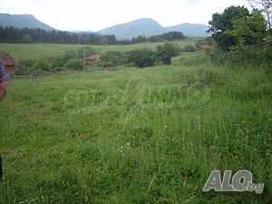image_15