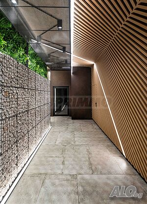 image_11
