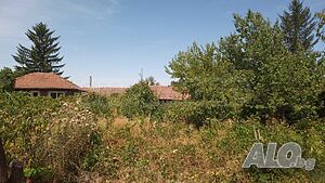 image_2