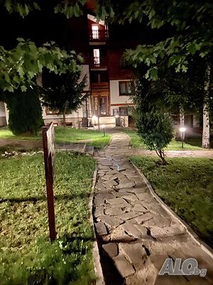 image_11