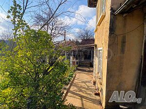 image_9