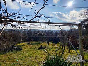 image_10