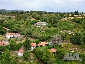 image_9