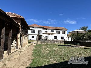 image_7